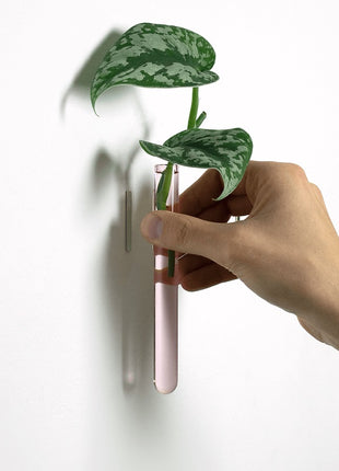 muurbloempjes muurvaasje reageerbuis magneet roze glas 3