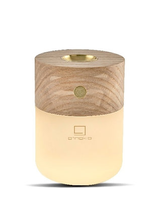 Gingko Design Smart Diffuser aromadiffuser oplaadbaar lamp essen G017AH