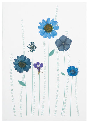 Räder wenskaart / felicitatie kaart met envelop gedroogde bloemen