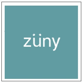 Züny
