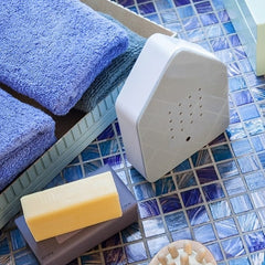 Zwitscherbox & Birdybox vogelgeluiden box