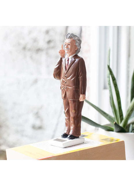 1609 Kikkerland Solar Albert Einstein poppetje zonne-energie