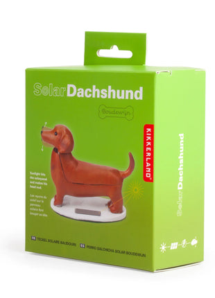 1612 Kikkerland Solar Dachshund - teckel Boudewijn op zonne-energie