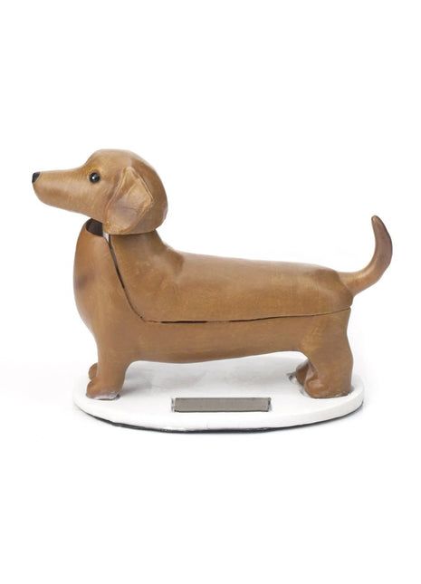 1612 Kikkerland Solar Dachshund - teckel Boudewijn op zonne-energie