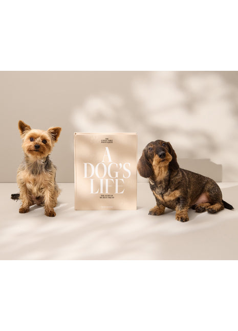 Printworks Fotoalbum A Dog's Life - PW00621