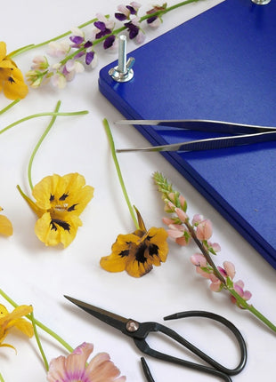 PW00704 Printworks Flower Press Kit 