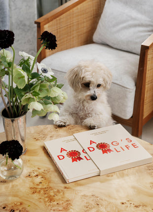 Printworks Dog Journal - dagboek A Dog's Life