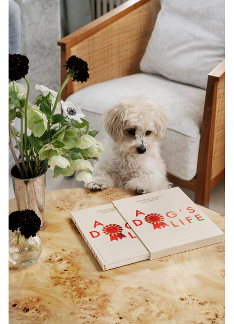 Printworks Dog Journal - dagboek A Dog's Life