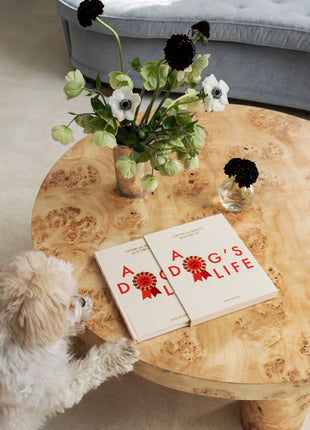 Printworks Dog Journal - dagboek A Dog's Life