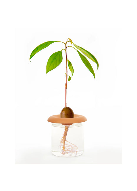 CD535 Kikkerland terracotta kweekschaaltje - set 3 stuks