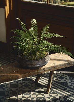 B5625008-704 Serax Planter schaal 02 L Dark Brown Dune