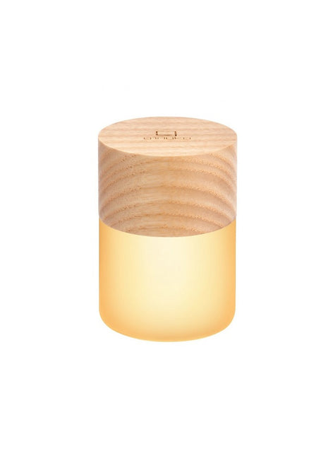 Gingko Lemelia led lamp oplaadbaar essen led kleuren