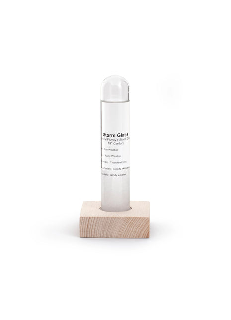 ST71 kikkerland stormglas barometer