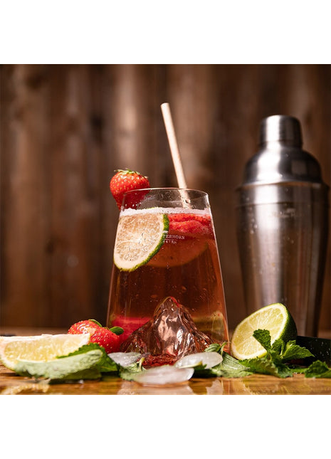 Alaskan Maker long drink tumbler Matterhorn