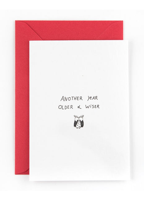 Ansichtkaart / Wenskaart - verjaardag - Another year wiser & older