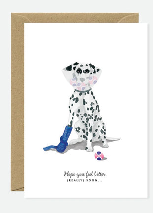 All The Ways To Say beterschapskaart Dalmatiër