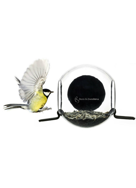 born in sweden birdfeeder vogel voederhuisje raam