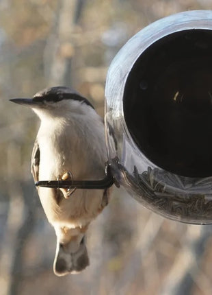 born in sweden birdfeeder vogel voederhuisje raam