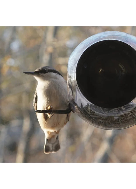 born in sweden birdfeeder vogel voederhuisje raam