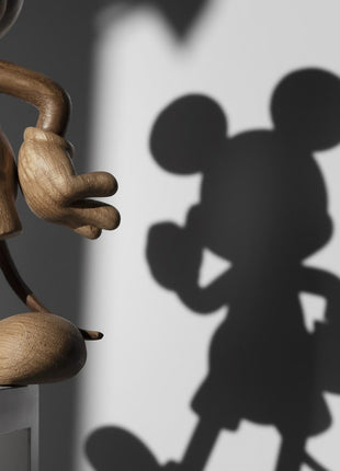 Boyhood Disney x Mickey Mouse small