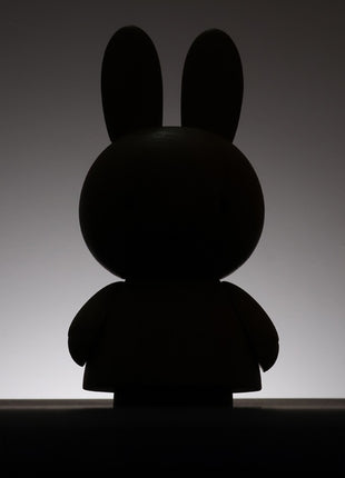 Boyhood Miffy x Nijntje Eiken large