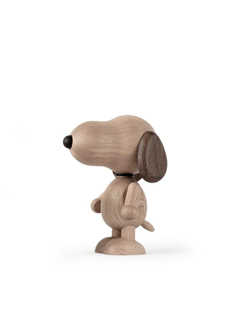 Boyhood Peanut x Snoopy™ Groot