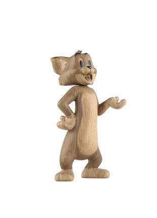 Boyhood Tom & Jerry - Tom small