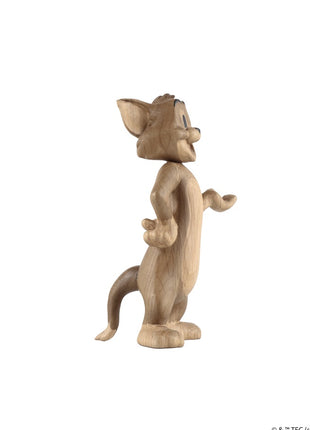 Boyhood Tom & Jerry - Tom small