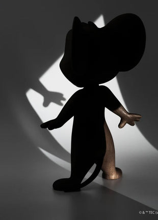 Boyhood Tom & Jerry - Tom small