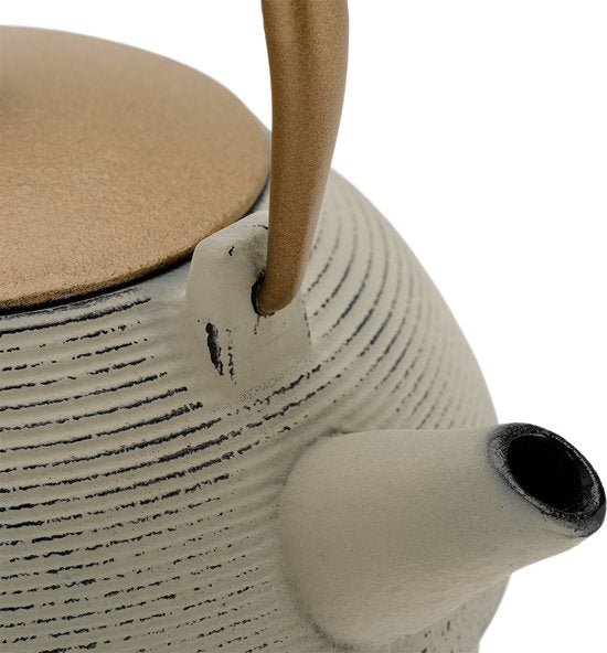 Sakai theepot - blauw - 1L - gietijzer - met filter Sakai theepot - blauw - 1L - gietijzer - met filter