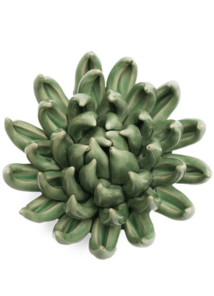 Chive ceramics keramieken vetplant jade groen