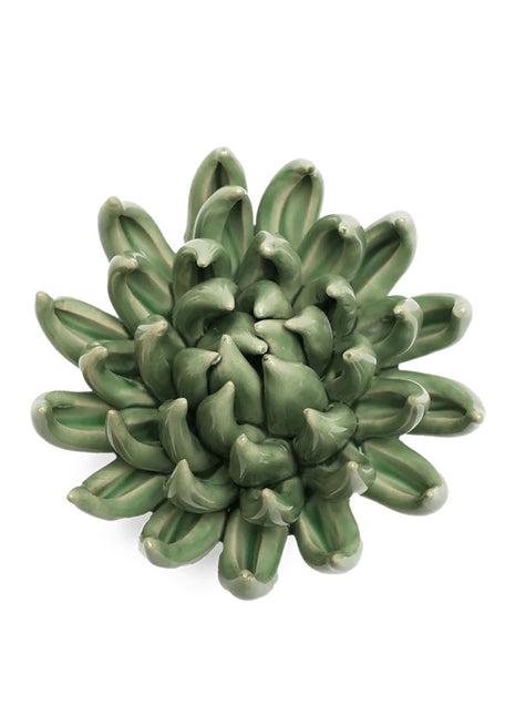 Chive ceramics keramieken vetplant jade groen