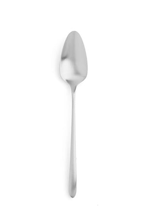 AM.05F Cutipol Aires Mateus dinerlepel mat RVS