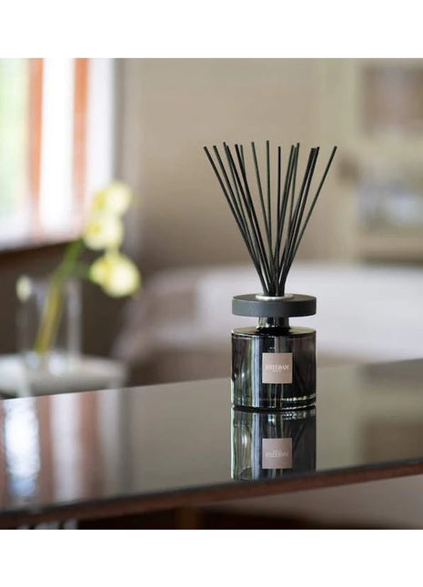 REV-028 Esteban Paris Classic Ellipse geurstokjes Rêve Blanc 150ml