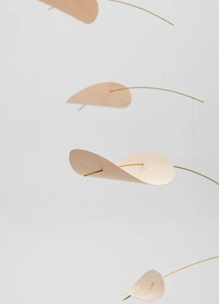 Flensted Mobiles - Drifting Clouds - Drijvende wolken natuur L