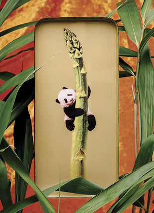 GD640 Gangzaï Design Sacha tray panda 12.5x28 cm