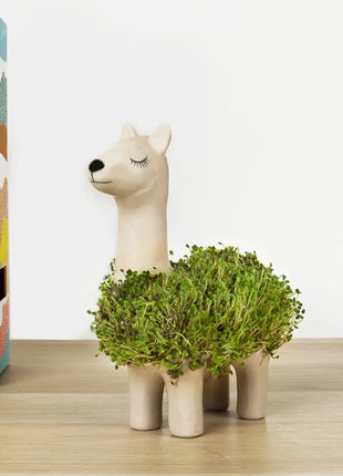 Gift Republic Llama plantenpot  met chiazaden 452013