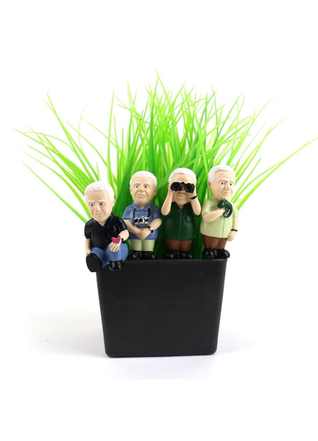 Gift Republic Plant Markers - Attenborough Explorers