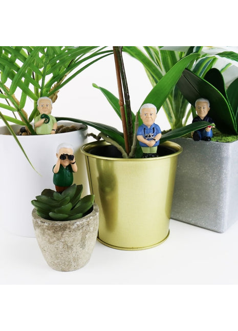 Gift Republic Plant Markers - Attenborough Explorers