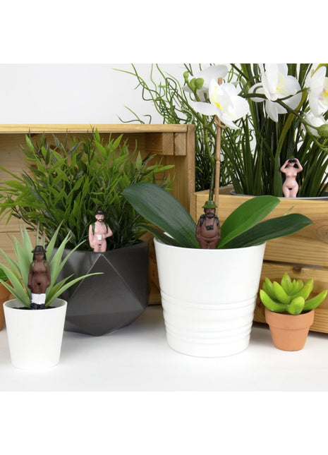 452090 Gift Republic Plant Markers - Naked Ramblers