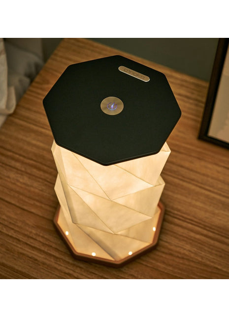 G036BK - Gingko Twist Hexagon vouw Lamp zwart