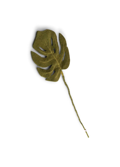 Gry & Sif Monstera gatenplant tak met blad