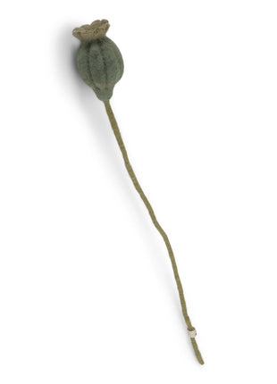 Gry & Sif Poppy Seed Heads - maanzaad papaver groen