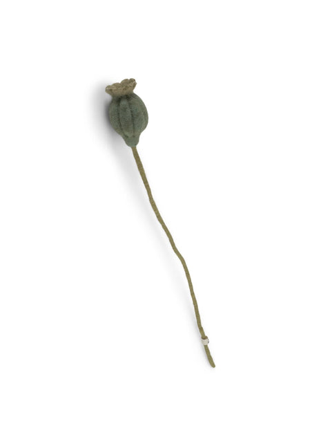 Gry & Sif Poppy Seed Heads - maanzaad papaver groen
