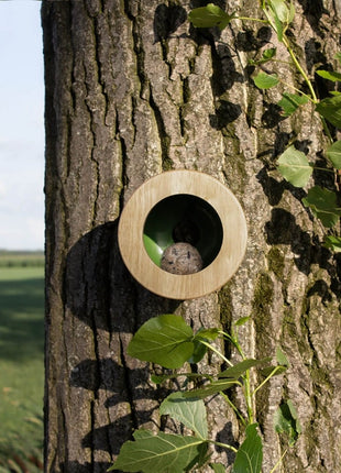 Heeej Cactus vogelhuisje: voederhuisje en nestkastje