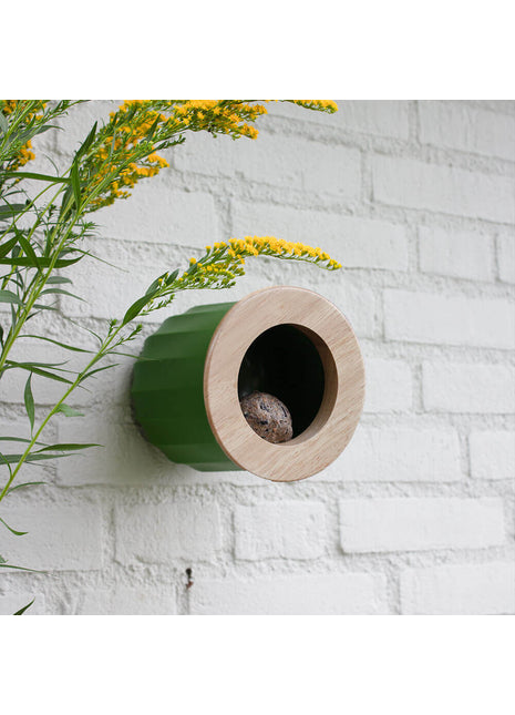 Heeej Cactus vogelhuisje: voederhuisje en nestkastje