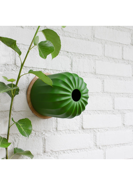 Heeej Cactus vogelhuisje: voederhuisje en nestkastje