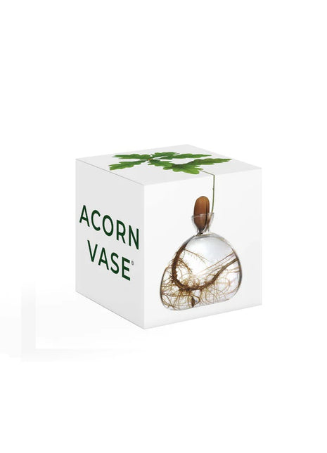 Ilex Sudio Acorn eikel glazen kiempot - helder