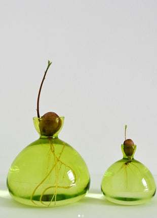 Ilex Sudio Acorn eikel glazen kiempot - gras groen