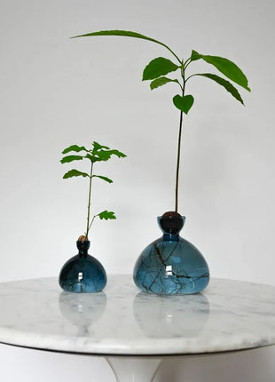 Ilex Sudio Avocado glazen kiempot - blue jay